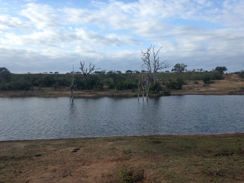 Sweni Lodge 91 Mjejane Kruger Park Hectorspruit Εξωτερικό φωτογραφία