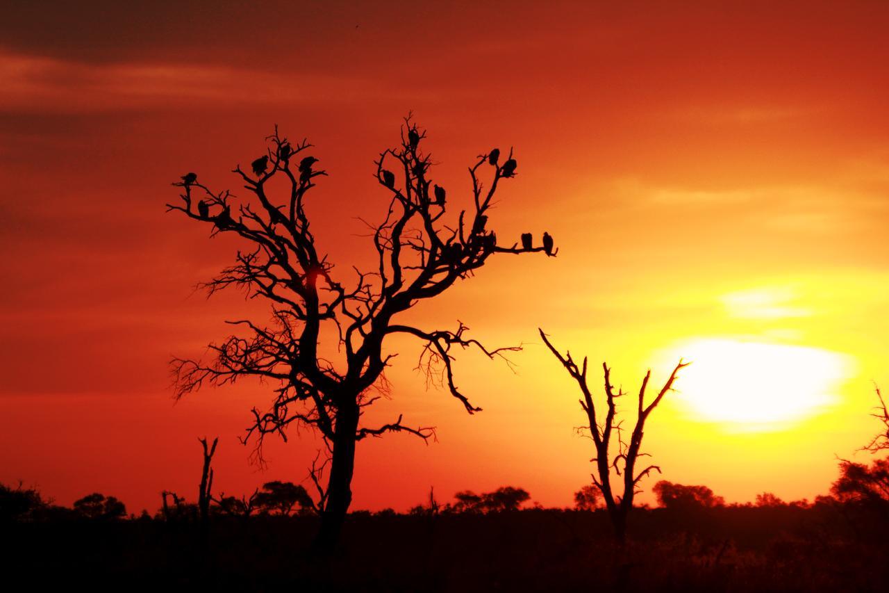 Sweni Lodge 91 Mjejane Kruger Park Hectorspruit Εξωτερικό φωτογραφία
